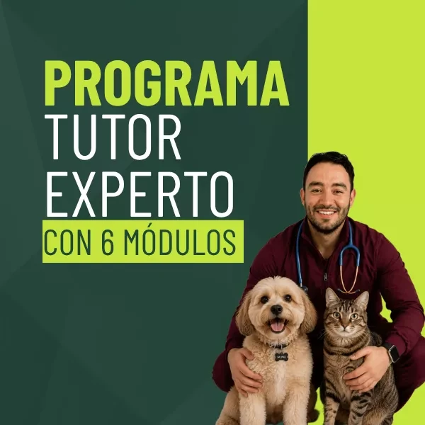 Portada del programa Tutor Experto con 6 módulos, con Camilo López y dos perros