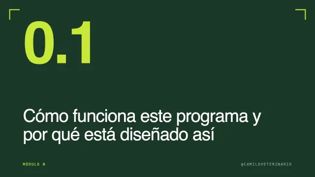 Clase 0.1: Cómo funciona este programa y por qué está diseñado así