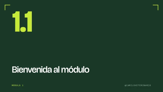 Clase 1.1: Bienvenida al módulo
