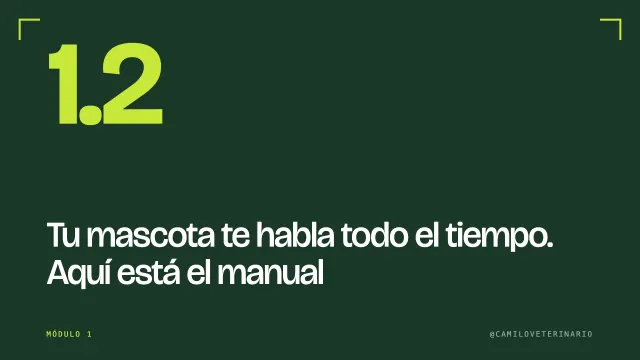 Clase 1.2: Tu mascota te habla todo el tiempo. Aquí está el manual