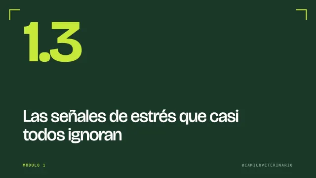 Clase 1.3: Las señales de estrés que casi todos ignoran
