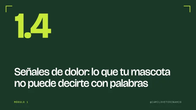 Clase 1.4: Señales de dolor: lo que tu mascota no puede decirte con palabras