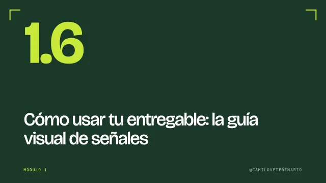 Clase 1.6: Cómo usar tu entregable: la guía visual de señales