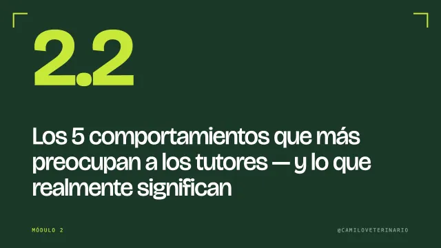 Clase 2.2: Los 5 comportamientos que más preocupan a los tutores y lo que realmente significan