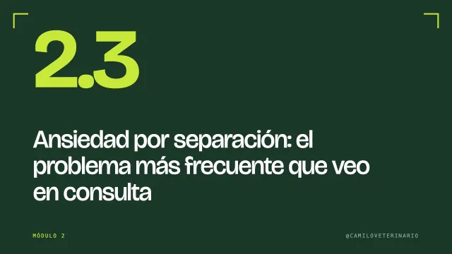 Clase 2.3: Ansiedad por separación: el problema más frecuente que veo en consulta