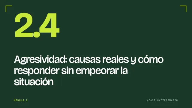 Clase 2.4: Agresividad: causas reales y cómo responder sin empeorar la situación