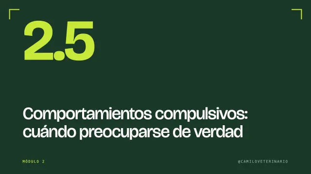 Clase 2.5: Comportamientos compulsivos: cuándo preocuparse de verdad