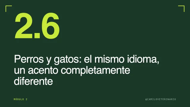 Clase 2.6: Perros y gatos: el mismo idioma, un acento completamente diferente