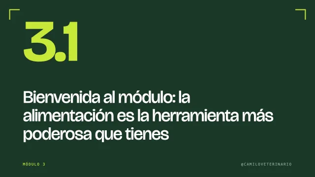 Clase 3.1: Bienvenida al módulo: la alimentación es la herramienta más poderosa que tienes