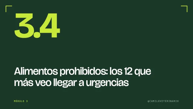 Clase 3.4: Alimentos prohibidos: los 12 que más veo llegar a urgencias