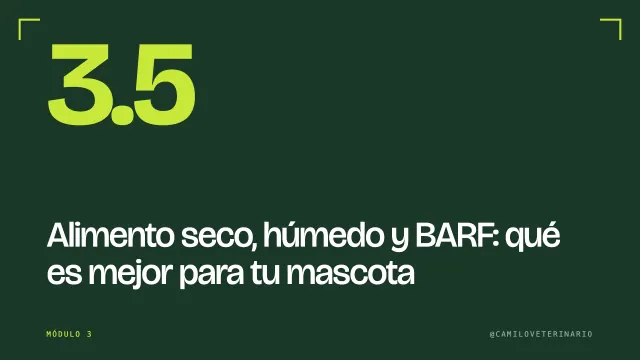 Clase 3.5: Alimento seco, húmedo y BARF: qué es mejor para tu mascota