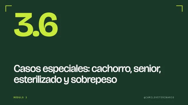 Clase 3.6: Casos especiales: cachorro, senior, esterilizado y sobrepeso