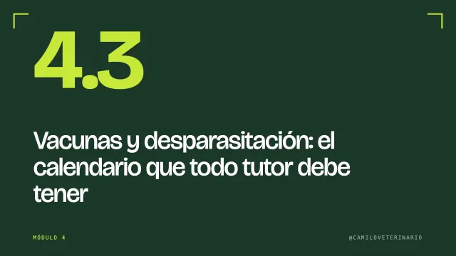 Clase 4.3: Vacunas y desparasitación: el calendario que todo tutor debe tener