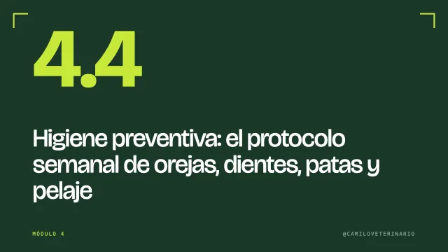 Clase 4.4: Higiene preventiva: el protocolo semanal de orejas, dientes, patas y pelaje