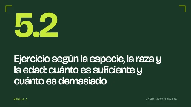 Clase 5.2: Ejercicio según la especie, la raza y la edad: cuánto es suficiente y cuánto es demasiado