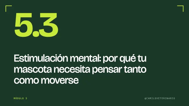 Clase 5.3: Estimulación mental: por qué tu mascota necesita pensar tanto como moverse