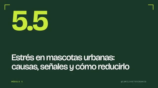 Clase 5.5: Estrés en mascotas urbanas: causas, señales y cómo reducirlo