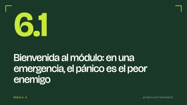 Clase 6.1: Bienvenida al módulo: en una emergencia, el pánico es el peor enemigo