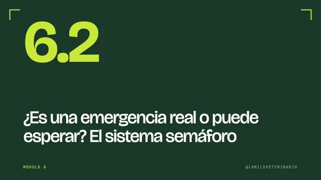 Clase 6.2: ¿Es una emergencia real o puede esperar? El sistema semáforo