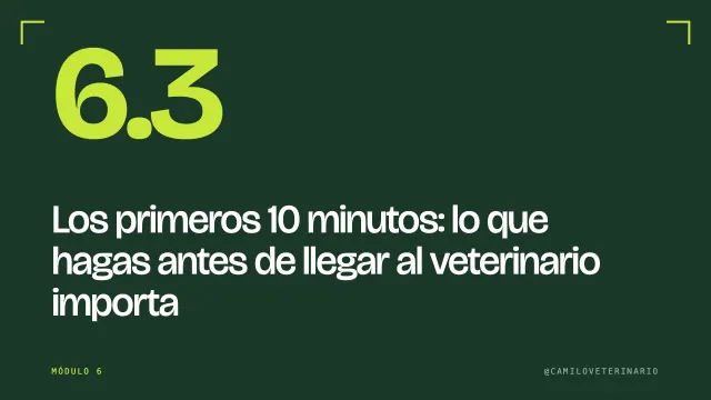 Clase 6.3: Los primeros 10 minutos: lo que hagas antes de llegar al veterinario importa