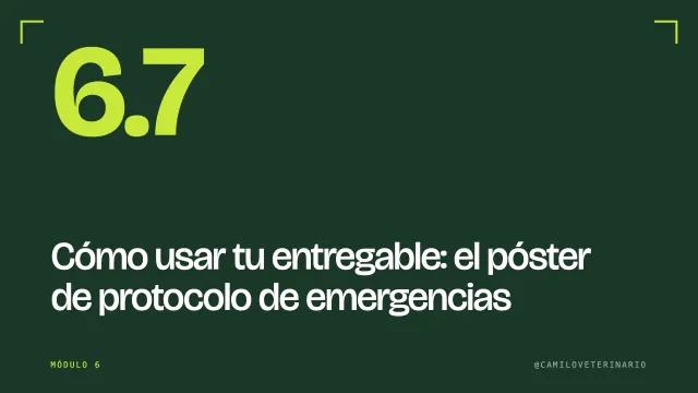 Clase 6.7: Cómo usar tu entregable: el póster de protocolo de emergencias