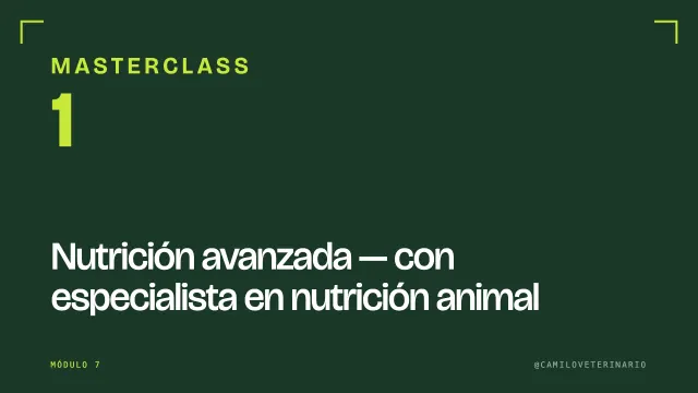 Masterclass 1: nutrición avanzada con especialista en nutrición animal