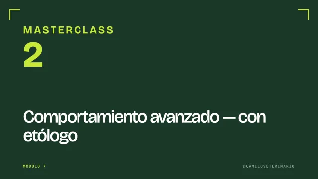 Masterclass 2: comportamiento avanzado con etólogo