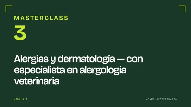 Masterclass 3: alergias y dermatología con especialista en alergología veterinaria