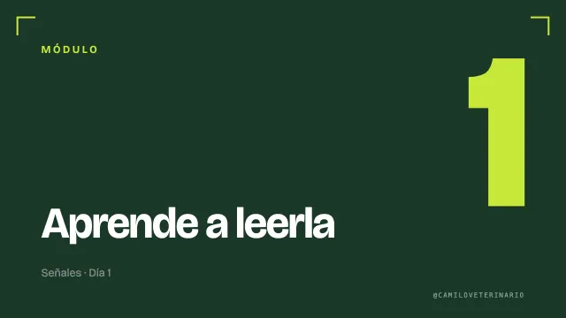 Miniatura del módulo 1: Aprende a leerla