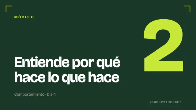 Miniatura del módulo 2: Entiende por qué hace lo que hace