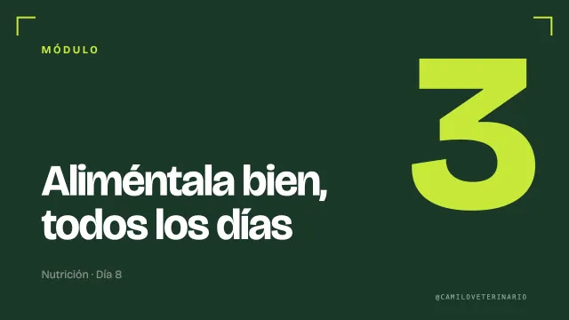 Miniatura del módulo 3: Aliméntala bien todos los días