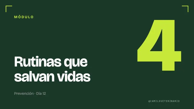 Miniatura del módulo 4: Rutinas que salvan vidas