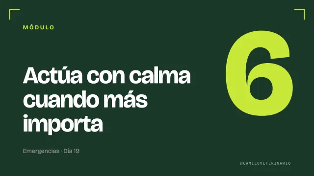 Miniatura del módulo 6: Actúa con calma cuando más importa