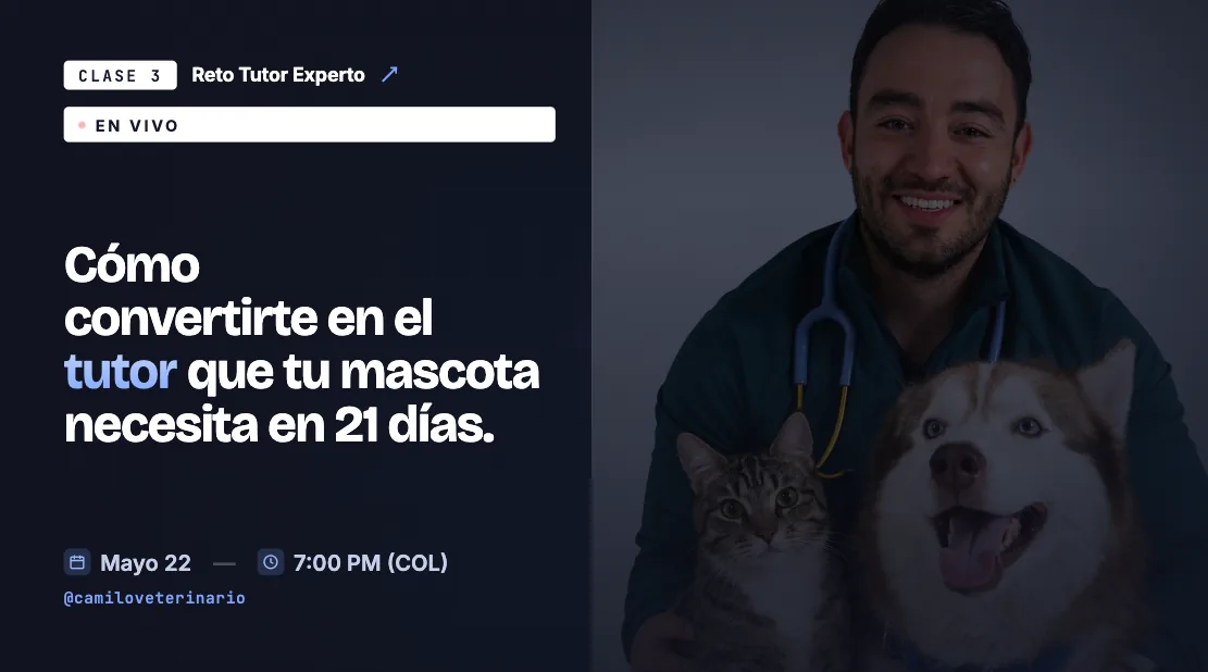 Clase 3: Cómo convertirte en tutor experto